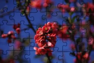 OK jigsaw puzzle