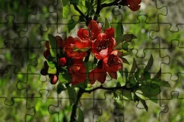 OK jigsaw puzzle
