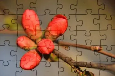 OK jigsaw puzzle