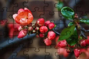 OK jigsaw puzzle