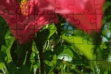OK jigsaw puzzle