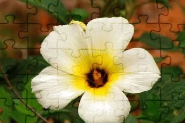OK jigsaw puzzle