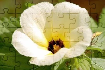 OK jigsaw puzzle