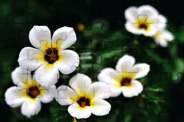 OK jigsaw puzzle