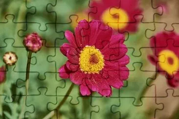 OK jigsaw puzzle