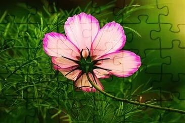 OK jigsaw puzzle