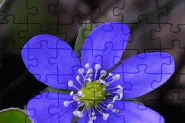OK jigsaw puzzle
