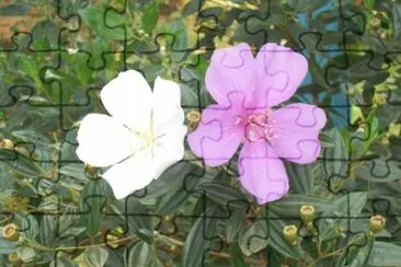 OK jigsaw puzzle