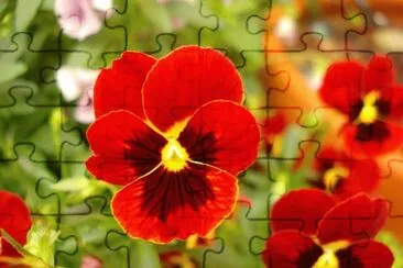 OK jigsaw puzzle