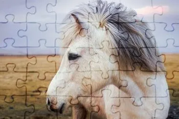 Imagem jigsaw puzzle