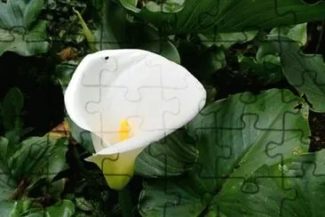 OK jigsaw puzzle