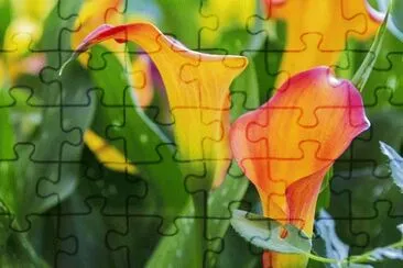 OK jigsaw puzzle