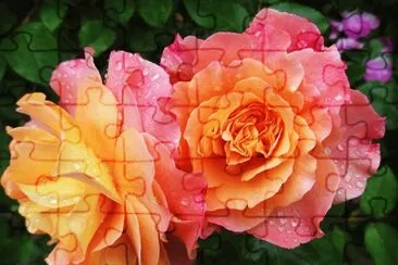 OK jigsaw puzzle