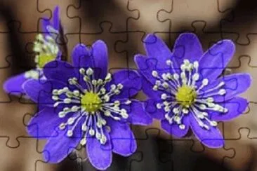 OK jigsaw puzzle
