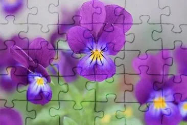 OK jigsaw puzzle