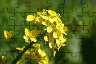 OK jigsaw puzzle
