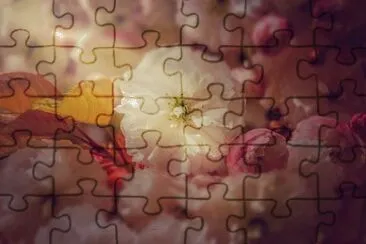 OK jigsaw puzzle
