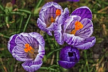 OK jigsaw puzzle