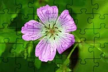 OK jigsaw puzzle