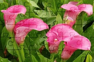 OK jigsaw puzzle