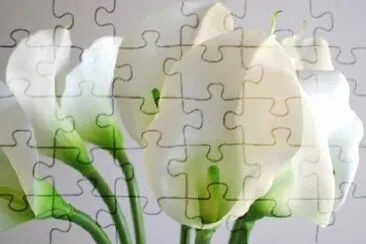 OK jigsaw puzzle