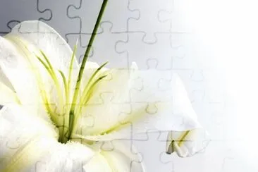 OK jigsaw puzzle
