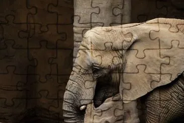 Imagem jigsaw puzzle