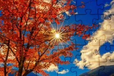 imagem jigsaw puzzle