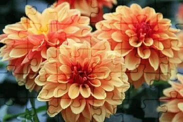 OK jigsaw puzzle