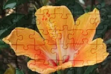 OK jigsaw puzzle