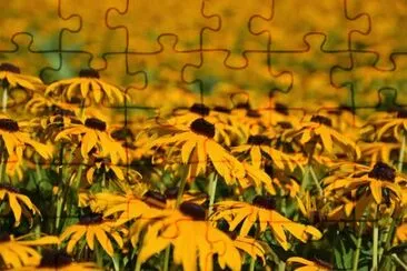 OK jigsaw puzzle