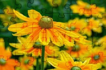 OK jigsaw puzzle