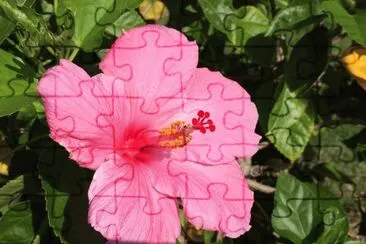 OK jigsaw puzzle
