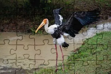 Foto jigsaw puzzle