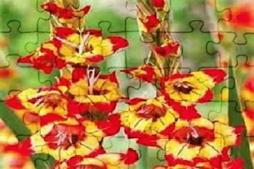OK jigsaw puzzle