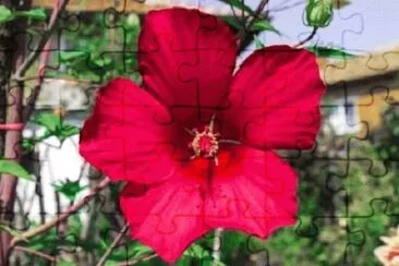 Foto jigsaw puzzle