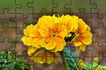 OK jigsaw puzzle