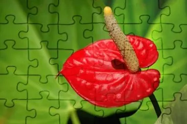 OK jigsaw puzzle