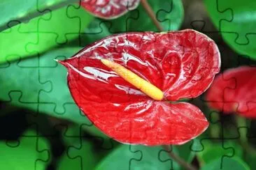 OK jigsaw puzzle
