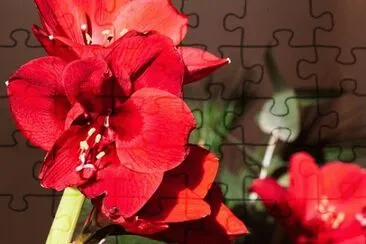 OK jigsaw puzzle