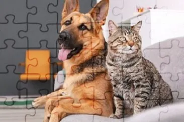 Foto jigsaw puzzle