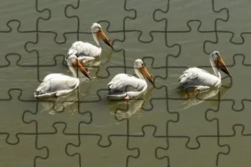 Foto jigsaw puzzle