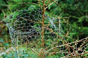 Foto jigsaw puzzle