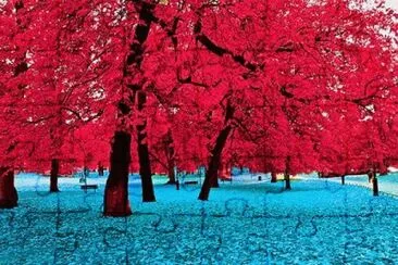 154 jigsaw puzzle
