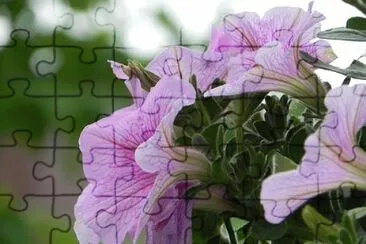 OK jigsaw puzzle