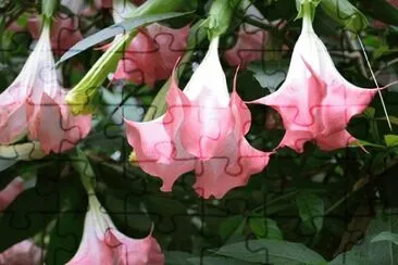 OK jigsaw puzzle