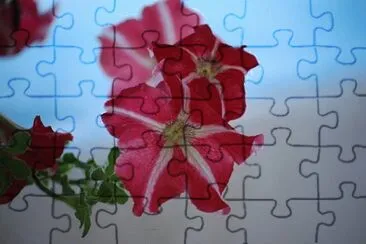 OK jigsaw puzzle