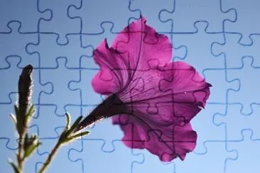 OK jigsaw puzzle