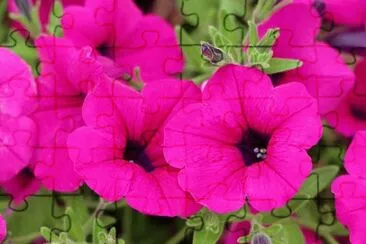 OK jigsaw puzzle