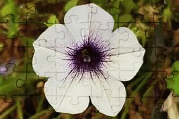 OK jigsaw puzzle
